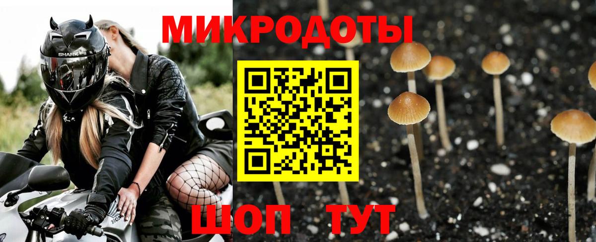 купить наркоту  Вход с VPN  Красноуфимск  Псилоцибиновые грибы ЛСД  Псилоцибиновые грибы MAGIC MUSHROOMS 